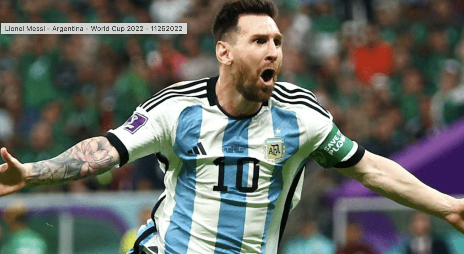 Lionel Messi Scores for Argentina